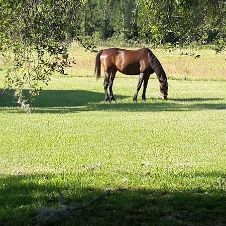 Kokomo Farms Live Oak Exteriér fotografie