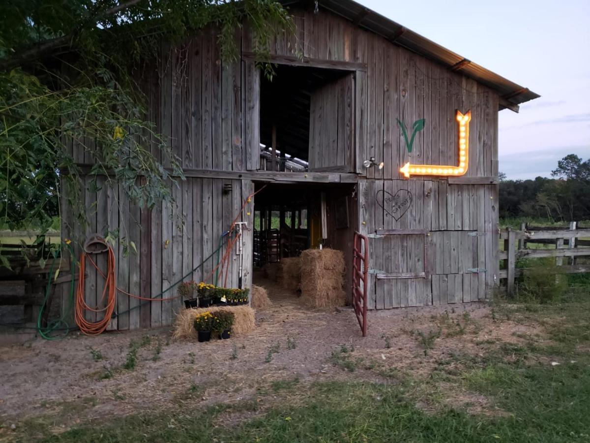 Kokomo Farms Live Oak Exteriér fotografie