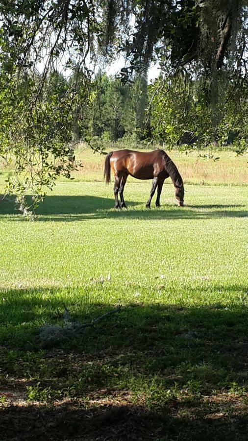 Kokomo Farms Live Oak Exteriér fotografie