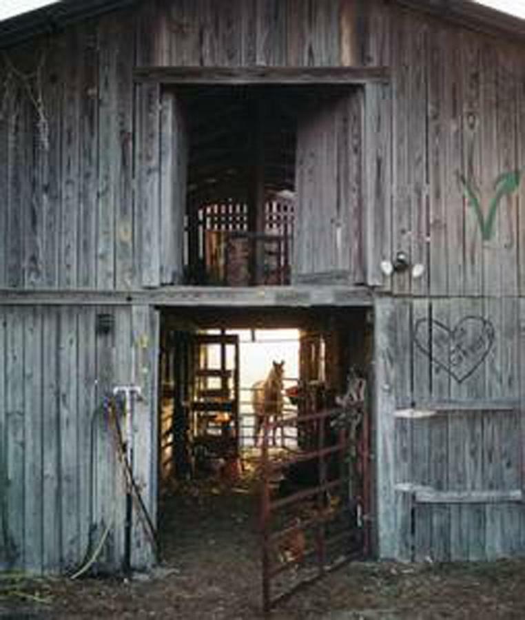 Kokomo Farms Live Oak Exteriér fotografie